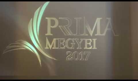 Veszprém megyei Prima-díj: Pannon Várszínház (2017)