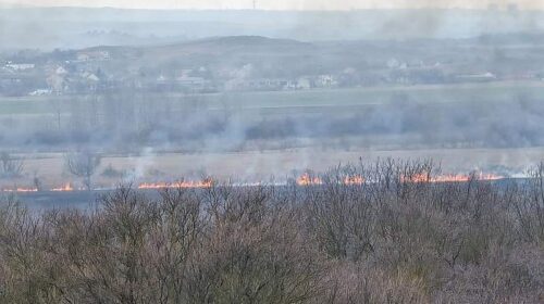 Tűz pusztít Várpalota határában: 20-25 hektáron ég a nádas