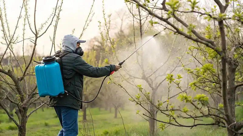 Tavaszi rézgálicos lemosó permetezés: A növényvédelem alapja kertünkben