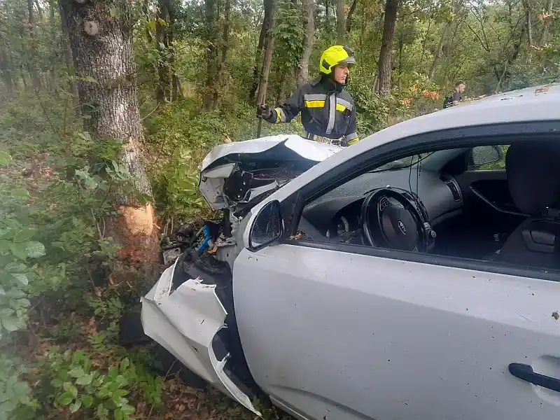 Baleset a Nosztori tetőn: vadat gázolt egy autós