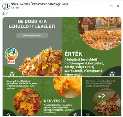 Ne dobd ki az avart: a Nébih megmutatta, hogyan lesz a lehullott falevélből a legjobb természetes talajjavító